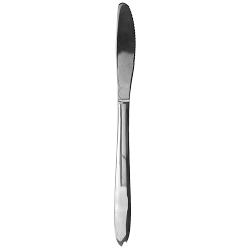 Sinclair™ Dinner Knife